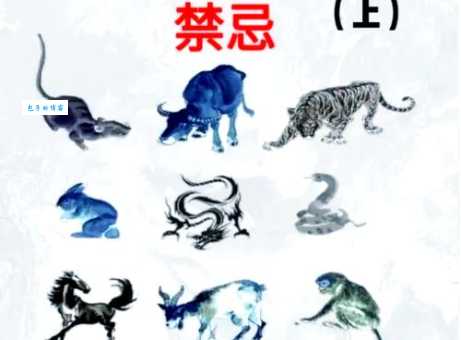 真龙天子三大生肖排行榜，这几个生肖一生贵人多！