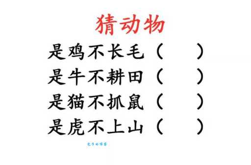 力大无穷打一准确动物怎么猜？这些答案其实很简单！