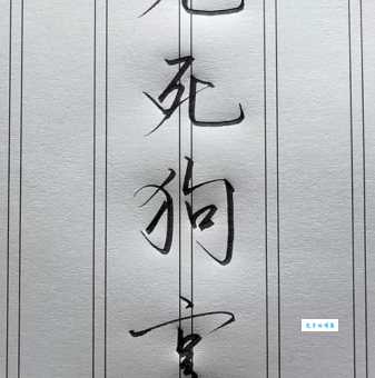 兔死狗烹最正确的一肖怎么选？这几个方法助你快速判断