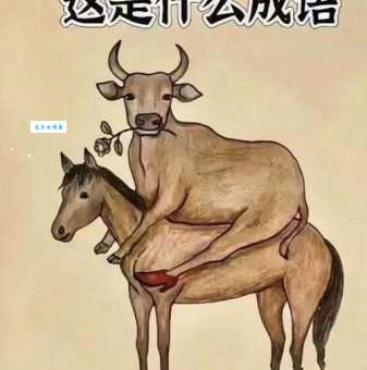 穷家富路是什么生肖？通过成语内涵找寻正确答案