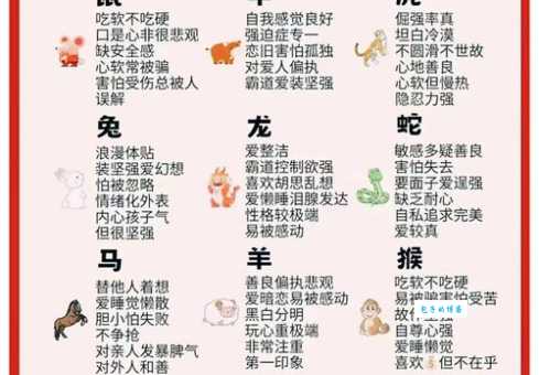 感物伤怀指代表什么生肖？这个生肖的性格特征真的很符合！