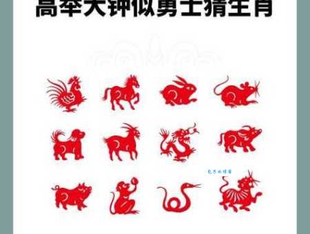 宁为鸡口最正确生肖是什么?揭秘这个生肖背后的含义