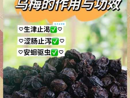 望梅止渴的梅是什么梅?专家告诉你这种梅子真的酸吗?