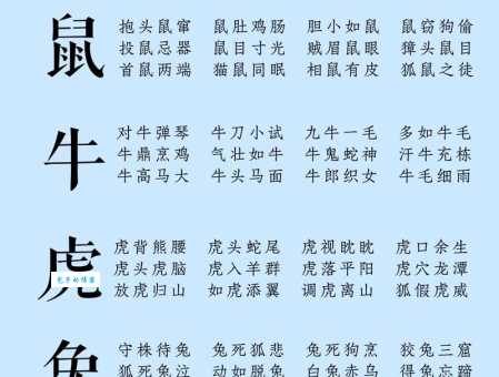 阴阳怪气开过什么生肖动物？为你详细解析相关知识