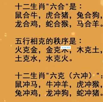 阴阳怪气开过什么生肖动物？为你详细解析相关知识