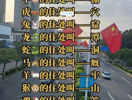 令出如山打一个生肖到底是指谁？看完你就知道正确答案！