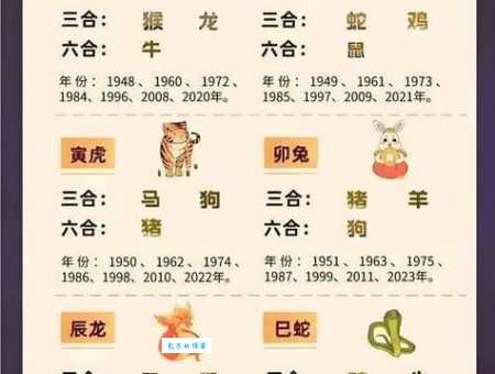 舞刀弄枪指什么生肖最准确？老一辈人总结的生肖经验