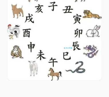 落落大方的三大生肖有哪些？这几个生肖不仅气质好还很得体！