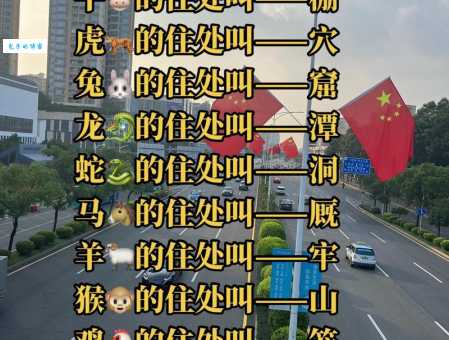 形单影只打一正确生肖怎么猜？教你这几个生肖的解法