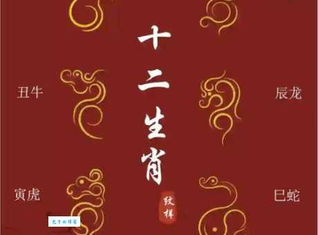 十二生肖中膀大腰圆的生肖是哪个？这几种最有代表性！
