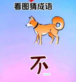 忠勇双全打一生肖指哪个动物？带你揭开谜底背后的故事！