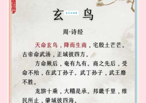 夯雀先飞是什么意思?教你如何正确使用这个成语!