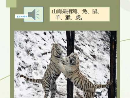 悬驼就石猜生肖是什么动物？这几个生肖的可能性最大！