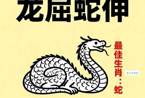 龙屈蛇伸打一准确生肖?这个生肖的真实谜底在这里! 龙屈蛇伸打一准确生肖?这个生肖的真实谜底在这里!