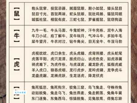 猜猜一拍即合打一准确生肖？这几个生肖可能性最大