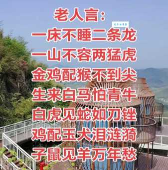 龙屈蛇伸指什么生肖?资深民俗专家为你解读生肖谜题