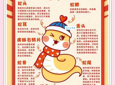 龙屈蛇伸指什么生肖？资深民俗专家为你解读生肖谜题