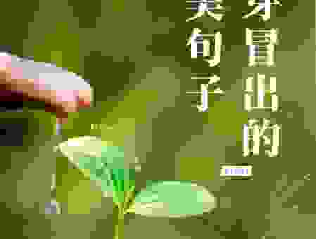生活中的萌芽是什么意思？小小的开始蕴含大能量