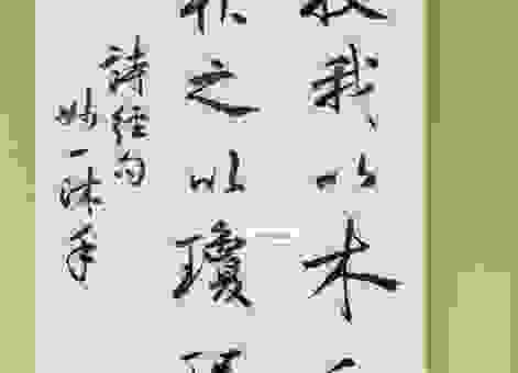 琼琚指的是什么含义？新手也能轻松看明白