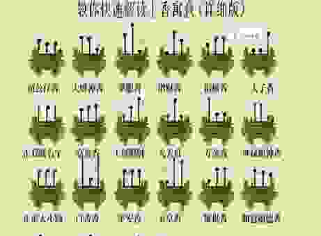 香会到底是什么意思？揭秘这个活动背后的含义