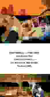 捧日是什么意思啊？不懂的赶紧收藏这篇超全解读