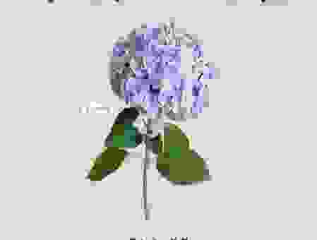 绣花是什么意思大家都在问？这几点帮你搞懂