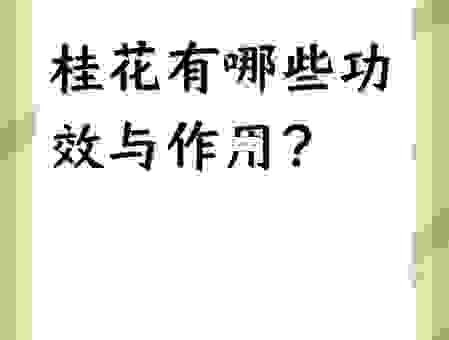 你真的知道双桂联芳是什么意思吗？权威解答来了