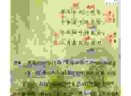 柳影花阴啥意思？出自哪里原来这么美！