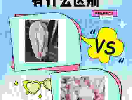 肥膘的意思深入解读：它和脂肪到底有什么区别