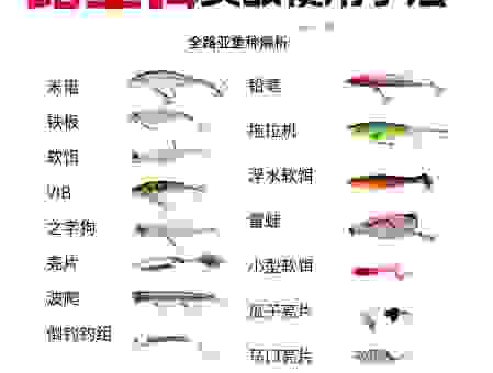 LANTERNFISH新手入门指南，快速上手不走弯路很简单