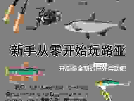 LANTERNFISH新手入门指南，快速上手不走弯路很简单