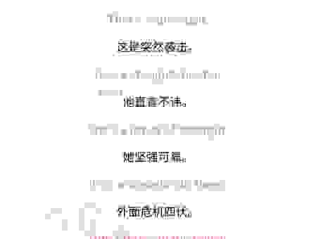 掌握pursuer的用法，让你的英语表达更专业地道