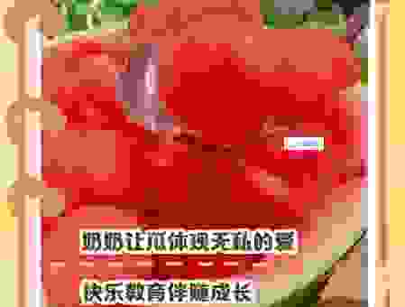 为什么半个西瓜的故事这么感人？背后的深意揭秘！