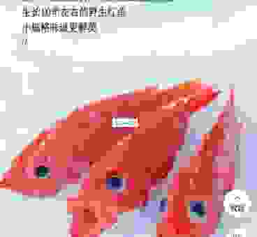 哪里可以买到新鲜的RED FISH？最靠谱的采购渠道分享