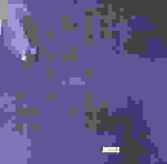 真正的宿敌是什么意思？如何区分普通对手和宿敌！