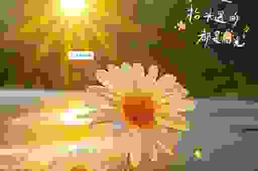 探索blissful的真正含义，让你的每一天都充满阳光