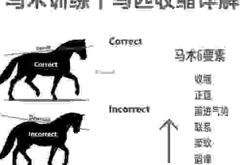 马中关五到底什么意思?这几个解释让你瞬间明白