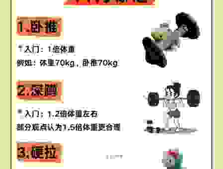 健壮的意思到底是什么？普通人也能秒懂的解释
