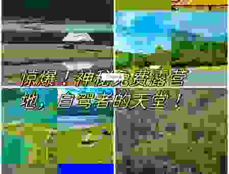 哪里可以近距离看到porpoise？探访porpoise的最佳地点推荐