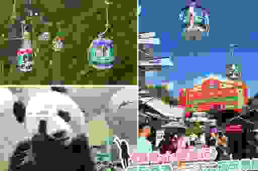 第一次去安克雷奇自由行怎么玩?超详细行程规划指南