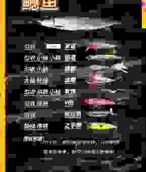 perch鱼饵怎么选？行家推荐的几款效果拔群