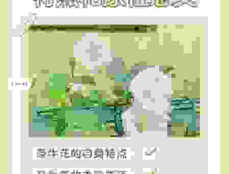 了解一枝花是什么意思？不同语境下理解不同！