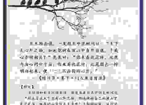 镜里观花什么意思?简单解释让你一看就懂!