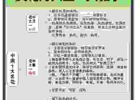 镜里观花什么意思?简单解释让你一看就懂!