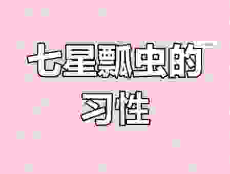 想知道瓢虫是什么意思吗?这些冷知识你可能不知道