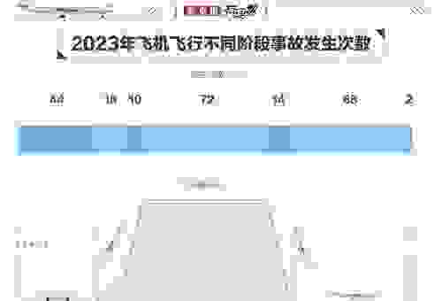 什么是迫降？了解飞机迫降背后的原因和流程