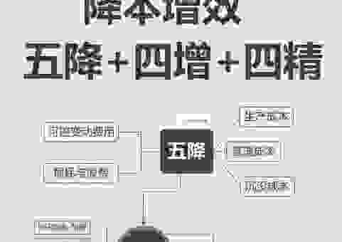 降本流末到底是什么意思？揭秘背后的管理小技巧！