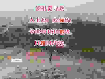 幽冥界缘柳暗花明 众生情冷暖福祸让人深思