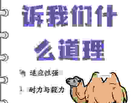 搞不懂悬驼就石是什么意思？这篇帮你完全弄懂它