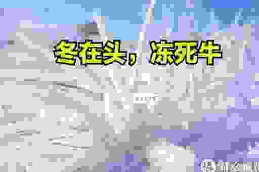 一日之冬是什么意思？和倒春寒是不是一个概念